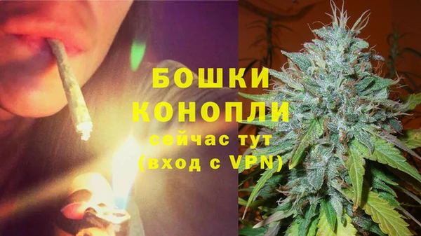 молекула духа Баксан
