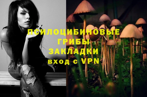 молекула духа Баксан